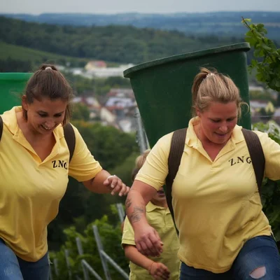 Drilltaufe und Weinausschank Drilltaufe und Weinausschank